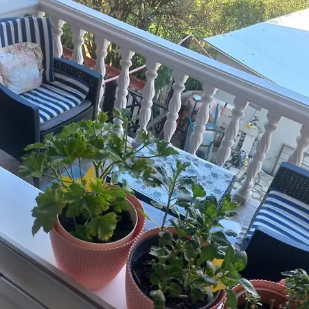 Jejna سراييفو